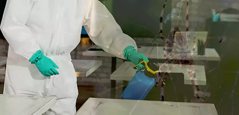 Why Buyers Still Want Homes With Pest Infestations in Torrance, CA?